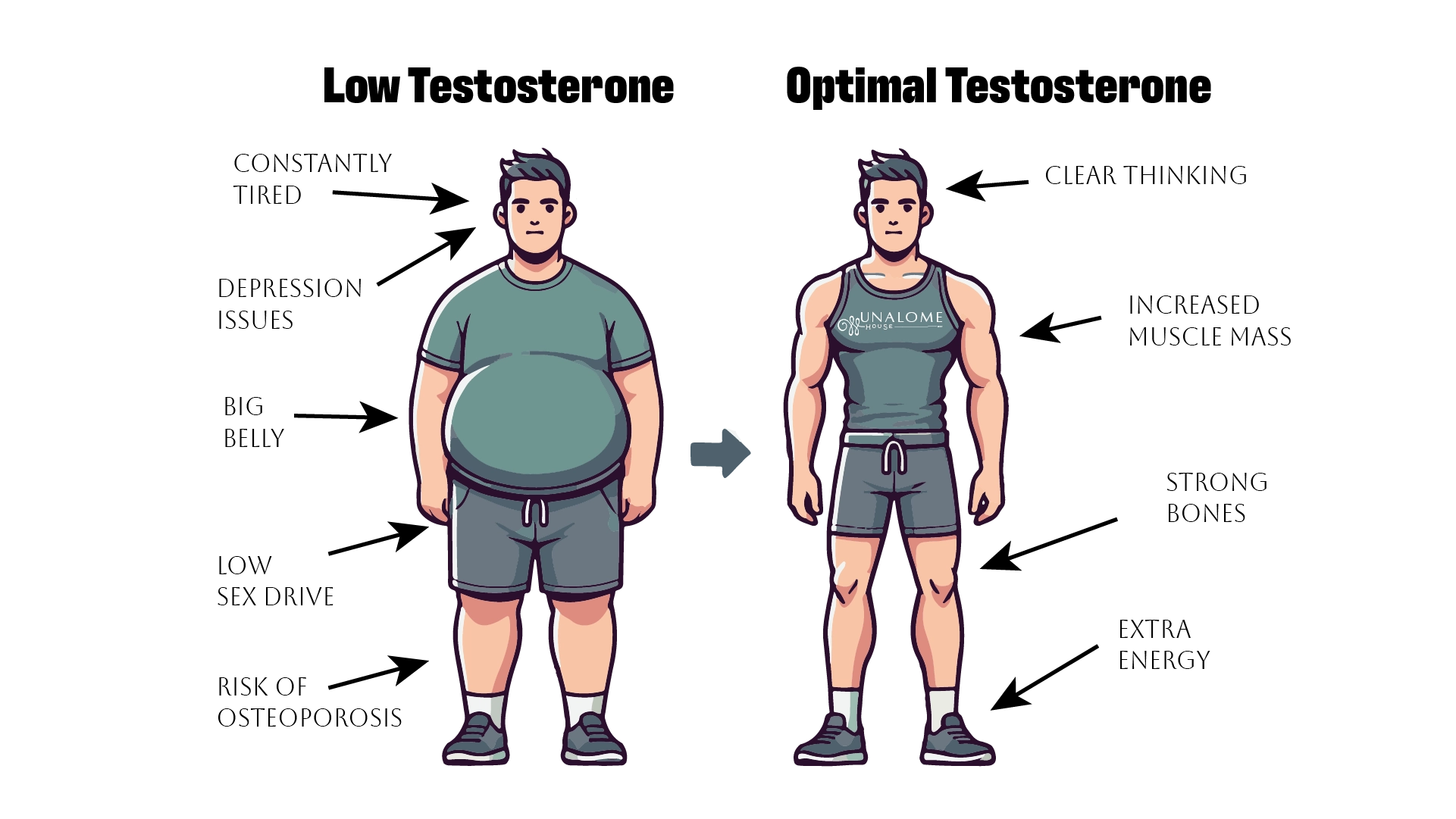 Male Hormone Infographic